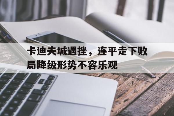 卡迪夫城遇挫，连平走下败局降级形势不容乐观的简单介绍
