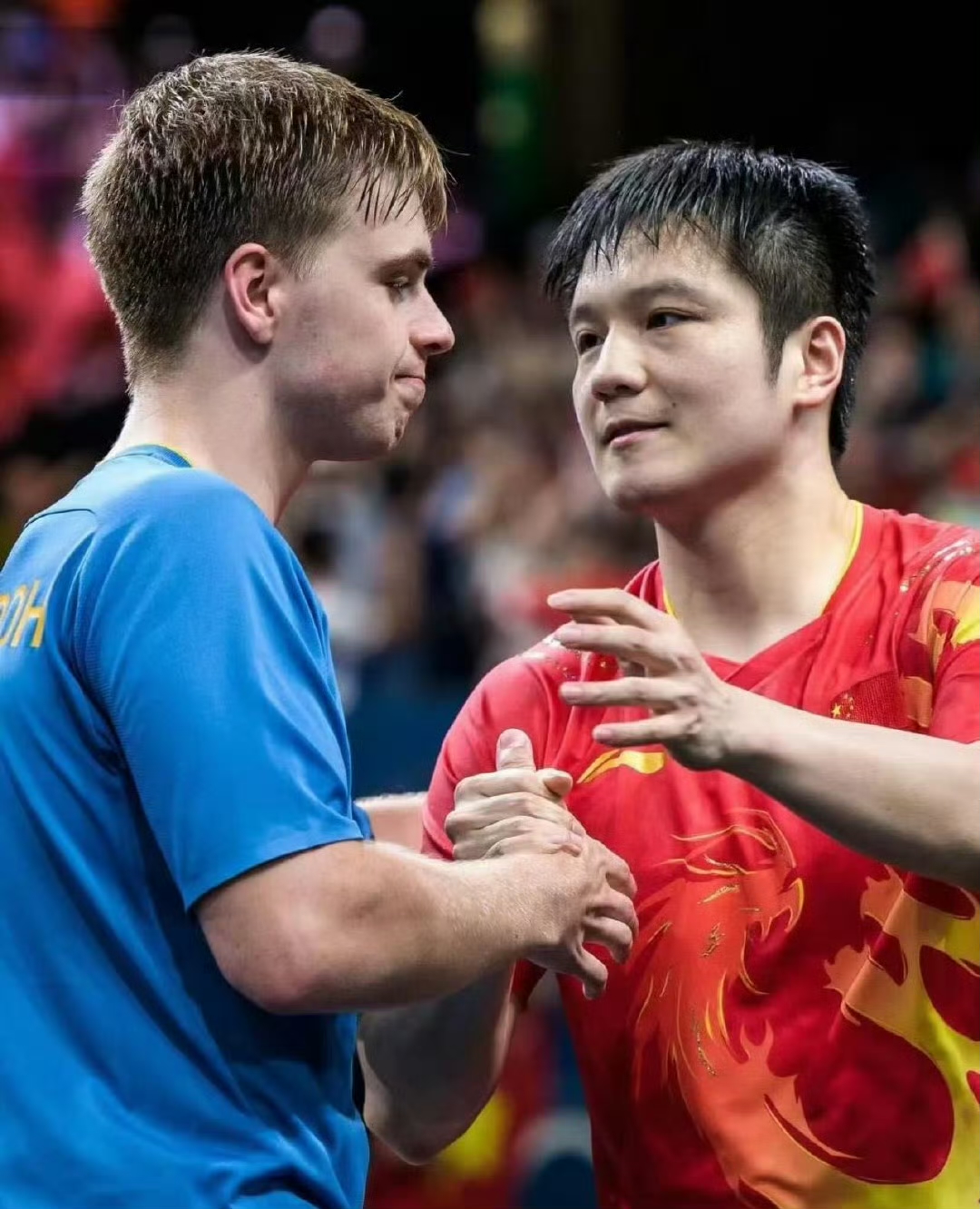 德国队轻取英格兰队，樊振东扛起全队