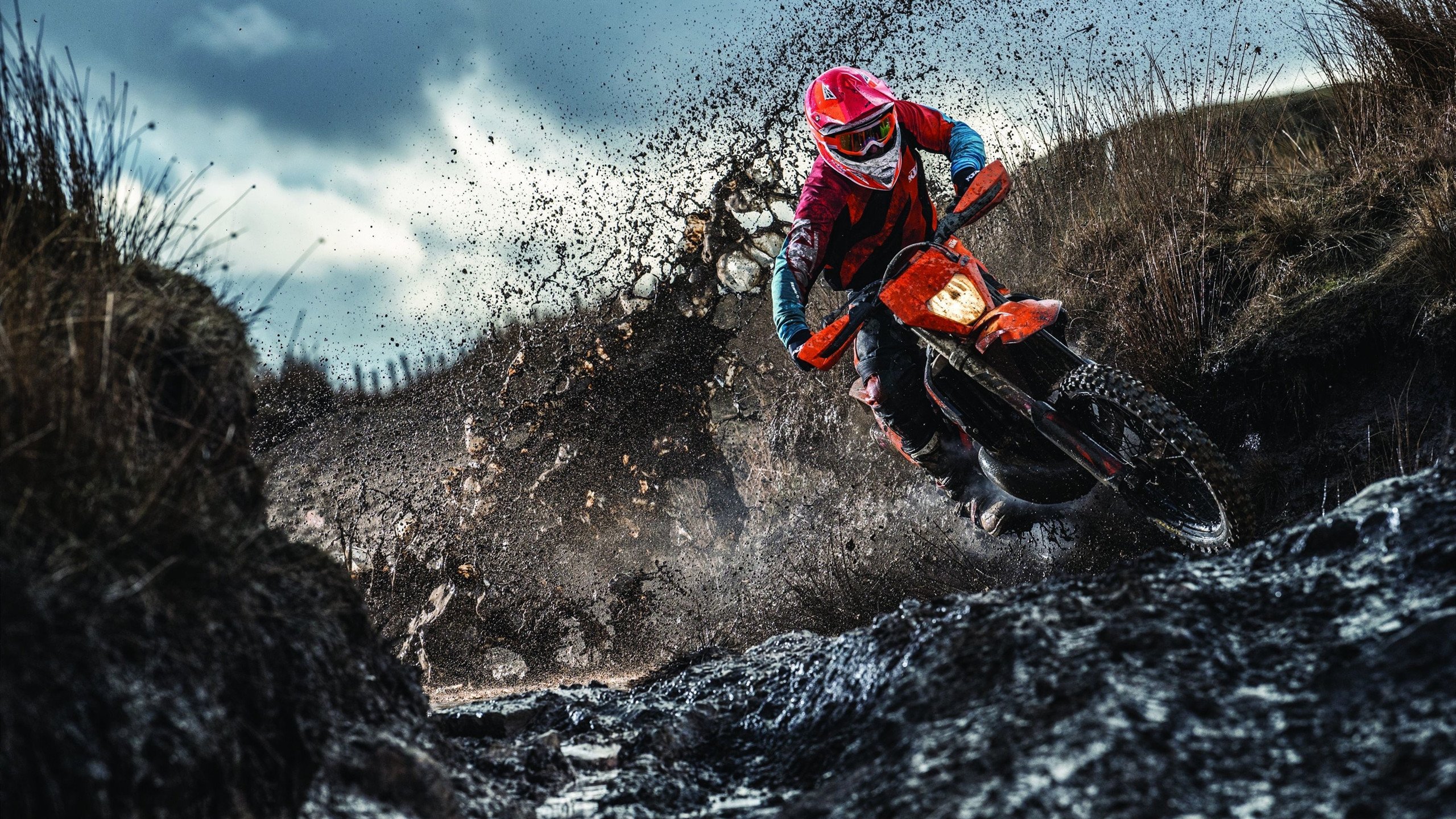 锡安完成自我救赎，开拓者争冠战中力克广厦