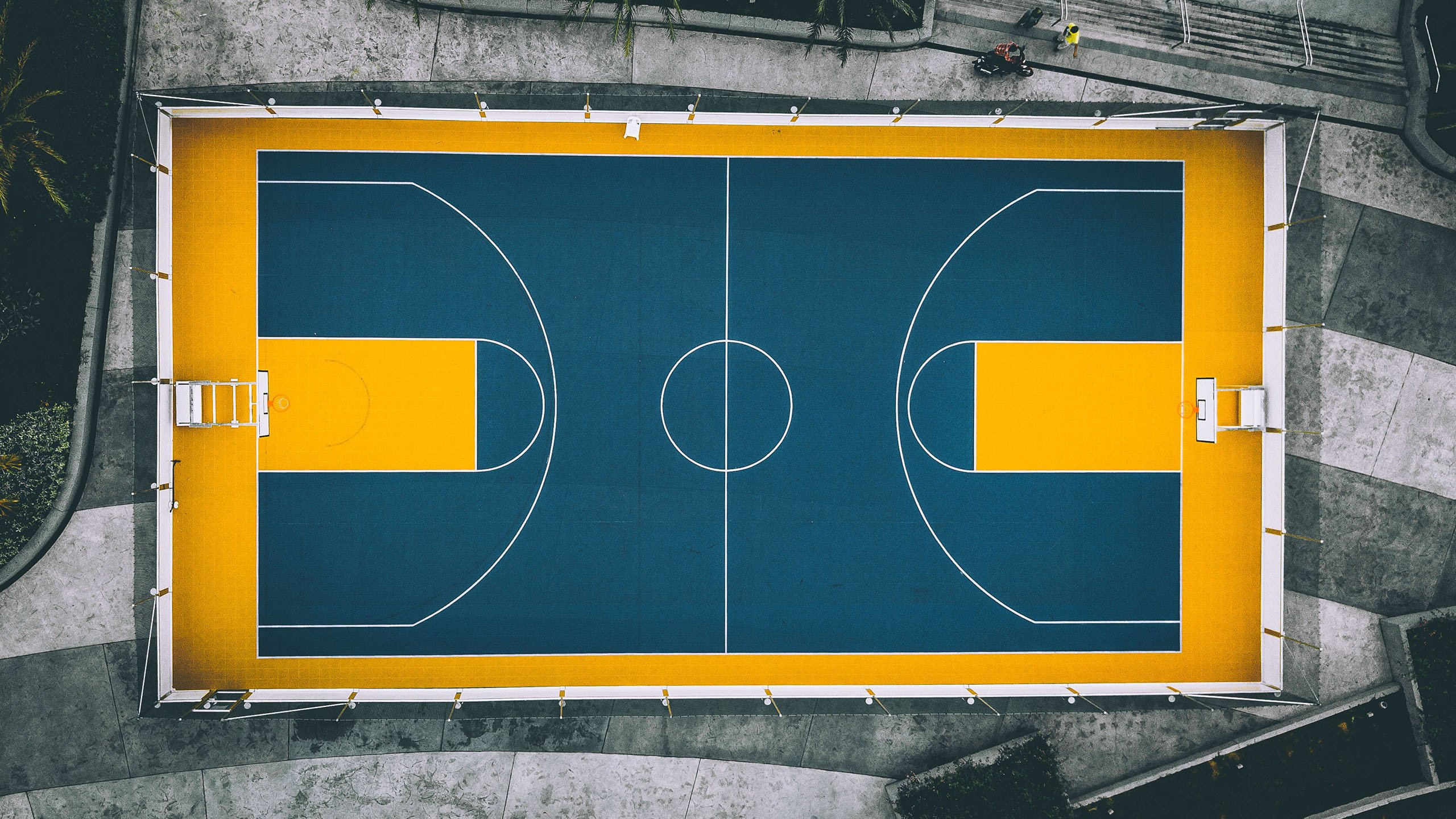 三狮咆哮，非洲雄狮折翼，凯恩领衔的青春风暴，如何用一场横扫定义新时代的王权交接